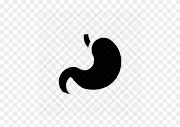 Digestion, Stomach, Getroenterology, Organ, Healthcare, - Illustration