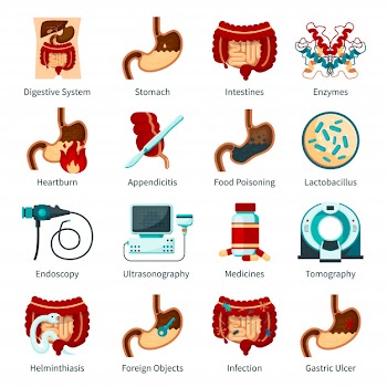 Digestive system flat icon set Free Vector