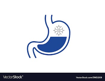 digestive system human body organ and icon