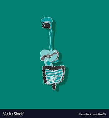 Digestive system paper sticker on stylish vector image