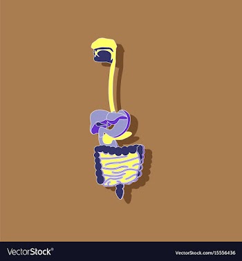 Digestive system paper sticker on stylish vector image