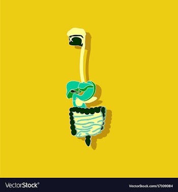 Digestive system paper sticker on stylish vector image
