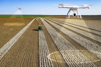 Digital agriculture, smart farming technology | Free Photo - rawpixel