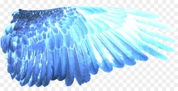 Digital Art, Desktop Wallpaper, Buffalo Wing, Blue, Wing PNG