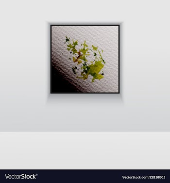 Digital art picture color on the wall in web vector image