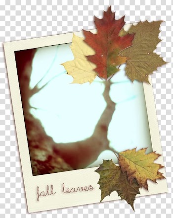 Digital , Autumn Invitation Card multicolor transparent background PNG clipart