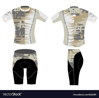 Digital camouflage vector image