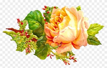 Digital Flower Downloads - Hybrid Tea Rose