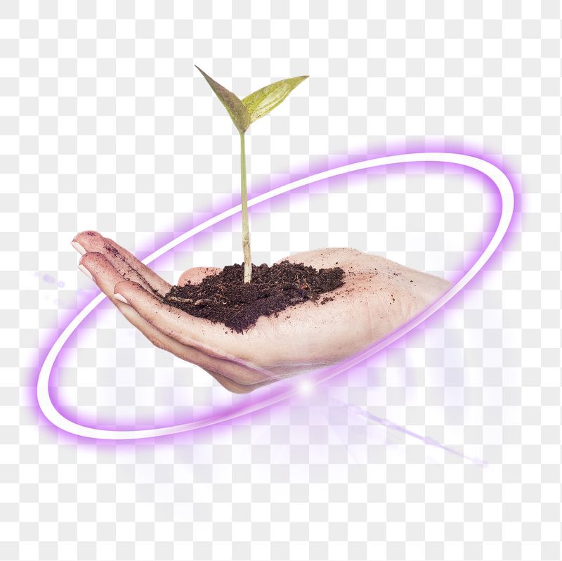 Digital sapling plant png, agriculture | Free PNG - rawpixel