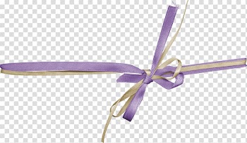 Digital scrapbooking Ribbon , baby ribbon element transparent background PNG clipart