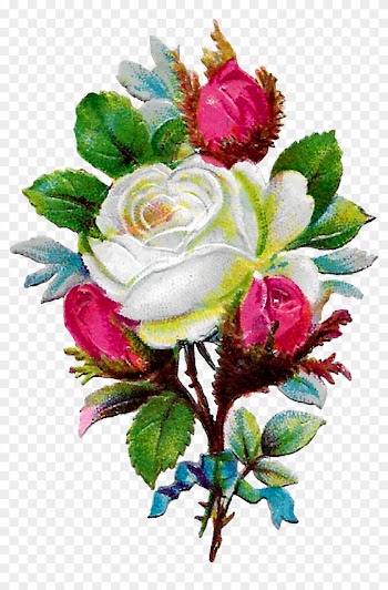 Digital White Rose Clip Art Download Png - Rose
