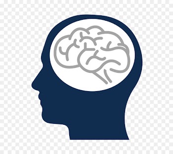 Dignity Brain Health Human brain Brain damage Biogerontology for Clinicans 2019 - brain 