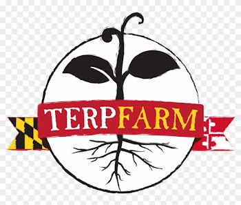 Dining Services Has Its Very Own Vegetable Farm And - Terp Farm