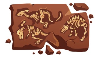 Dinosaur fossil bones, dino skeletons in stone Free Vector