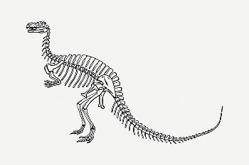 Dinosaur fossil clipart, vintage illustration | Free PSD Illustration - rawpixel
