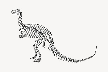Dinosaur fossil collage element, drawing | Free Vector Illustration - rawpixel