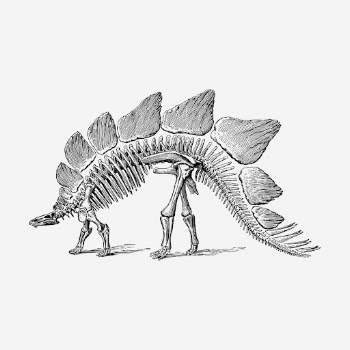 Dinosaur fossil drawing, extinct animal | Free Photo - rawpixel