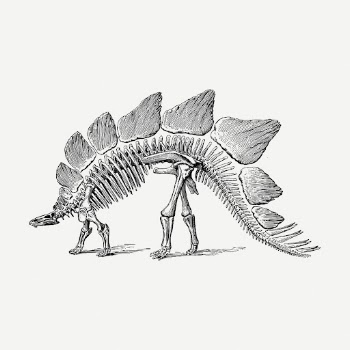 Dinosaur fossil drawing, extinct animal | Free PSD - rawpixel