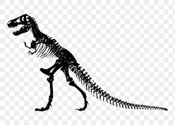 Dinosaur fossil png clipart, transparent | Free PNG Illustration - rawpixel
