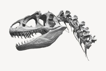 Dinosaur fossil sticker, extinct animal | Free PSD - rawpixel