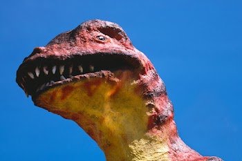 Dinosaur head detail, Rainbow Falls Golf,… | Free public domain photo