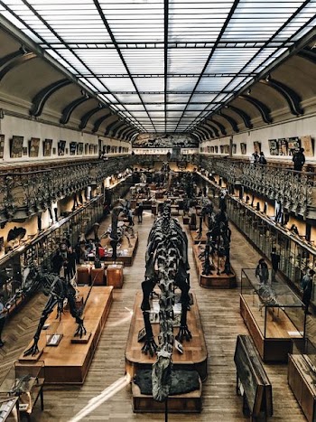 dinosaur museum