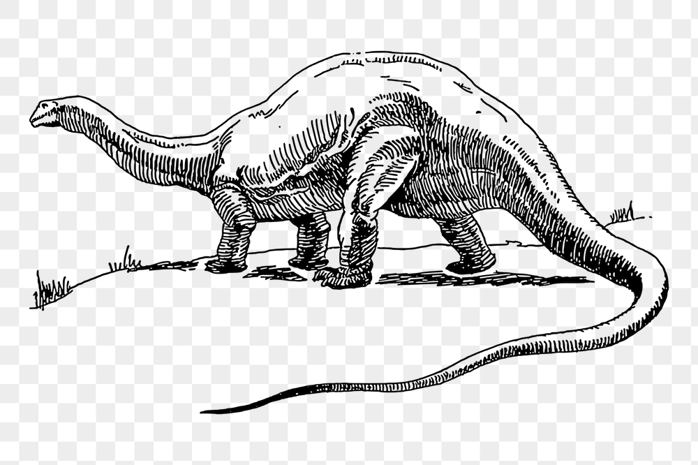 Dinosaur png sticker, extinct animal | Free PNG - rawpixel