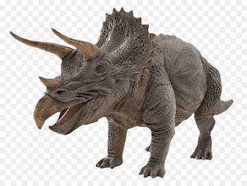 Dinosaur Triceratops/Triceratops Tyrannosaurus Image - dinosaur 