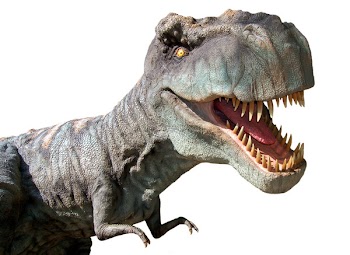 Dinosaurs
