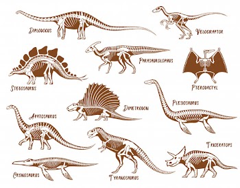Dinosaurs skeleton set Free Vector