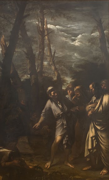 Diogenes Throwing away his Drinking | Free Photo - rawpixel
