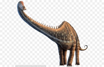 Diplodocus Allosaurus Dinosaur Photograph Poster - dinosaur 