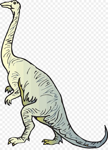 Diplodocus Brachiosaurus Apatosaurus Coloring book Dinosaur - dinosaur 