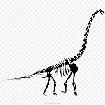 Diplodocus Velociraptor Tyrannosaurus Stegosaurus The Last of the Dinosaurs - dinosaur 