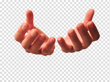 Direct selling Sales Multi-level marketing, Hands cupped transparent background PNG clipart