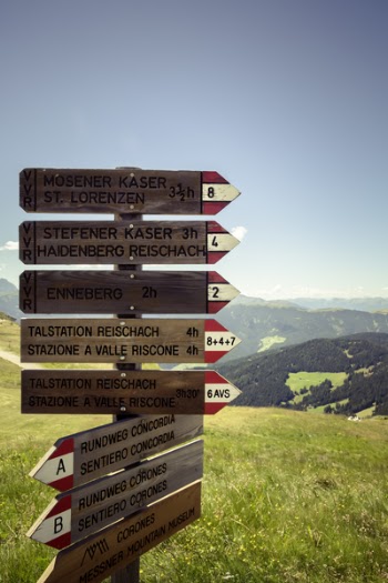 Direction Signage on Green Grass