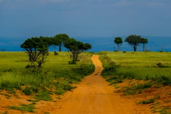 Dirt Road