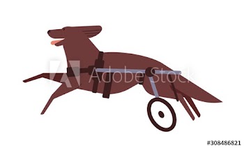 Disabled dog flat vector illustration