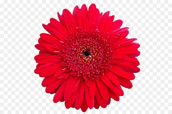 Discounts and allowances Chicago Clock Coupon World's Columbian Exposition - pretty flower 