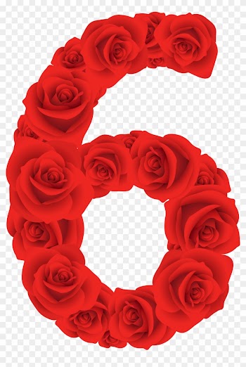 Discover Ideas About Number Six - Red Roses Number