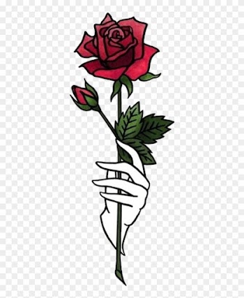 Discover The Coolest - Halsey Rose Hopeless Fountain Kingdom