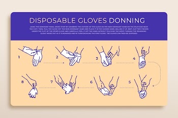 Disposable gloves donning infographic Free Vector
