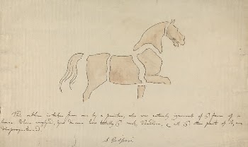 Disproportioned Horse Drawing | Free Photo - rawpixel