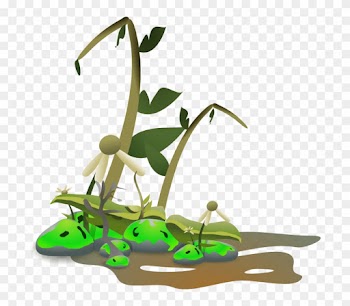 Distopia - Dying Plant Clipart