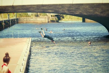          Dive Free Photo     