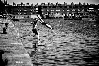          Dive into the Sea Free Photo     