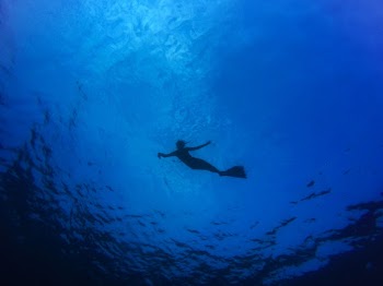 Diver in Water