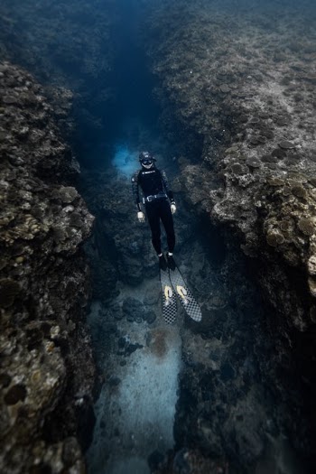 Diver Swimming in the Ocean · Free Stock Photo