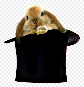 Divergent Hogwarts - Baby Touch And Feel Easter Bunny
