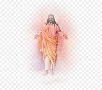 Divine Mercy Sacred Heart Clip art - jesus christ 